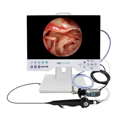 comprar Cámara de endoscopia eléctrica rígida multiflexible todo en uno para laparoscopia uroscopia ENT fabricación en línea