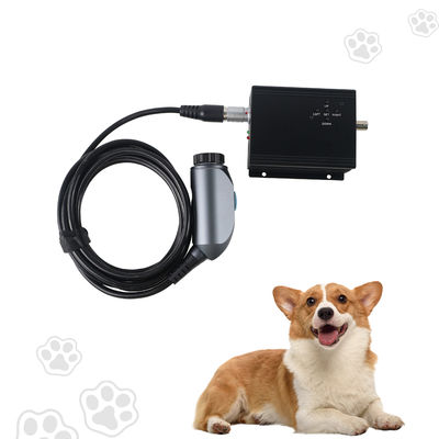 comprar Sistema portátil de cámara de endoscopio para animales fabricación en línea