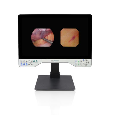 comprar 1080P Sistema de endoscopio Full HD Rígida y flexible 24 pulgadas Todo en una cámara de grabación de vídeo fabricación en línea
