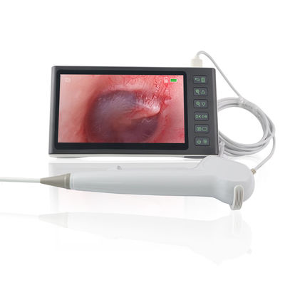 comprar Cirugía ENT Blanco FHD Flexible Digital Visual Ear Picker Herramienta de eliminación de cerumen Endoscopio desechable cámara de 7 pulgadas pantalla IPS fabricación en línea