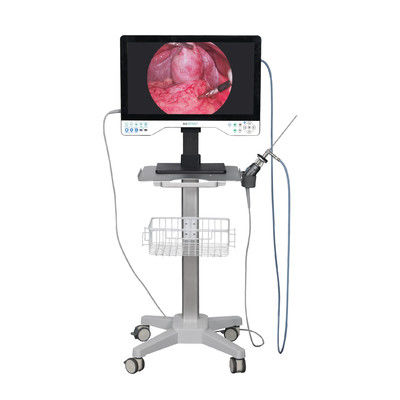 comprar 24in TUYOU Nasofaringoscopio Endoscopio grabador de cámara para cirugías de laparoscopia de alta definición fabricación en línea
