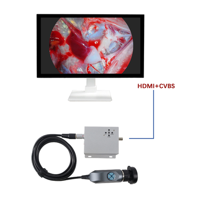 comprar Cámara endoscópica portátil 1080P al por mayor de fábrica para uso en diagnóstico veterinario de Otorrinolaringología fabricación en línea