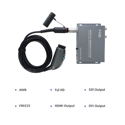 comprar Wireless Portable Endoscope Camera System - High Resolution for ENT/Orthopedics Clinical Examination fabricación en línea