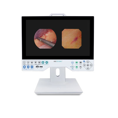Sistema de cámara de endoscopio flexible y rígido de 15 pulgadas FHD con función de reproducción y almacenamiento USB