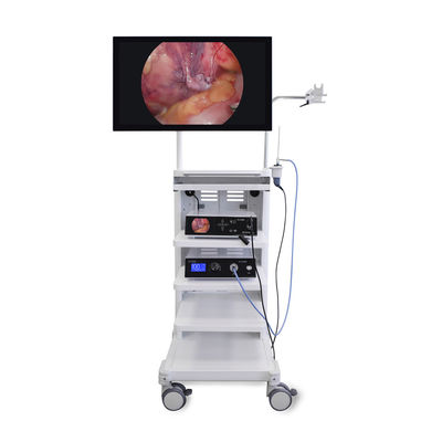 Sistema de cámara de video de alta definición 4K para la endoscopia médica para la laparoscopia Torre de urología