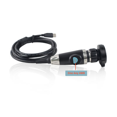 Fabricante Cámara de endoscopio portátil USB Para endoscopia ENT Animales de compañía Verificación de video Endoscopia en computadora portátil