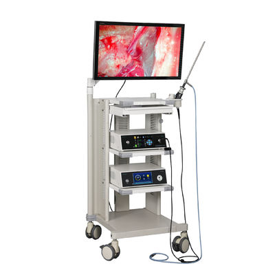 Video de cámara TUYOU UHD 4K con función de grabación para cirugía de ENT, columna y urología