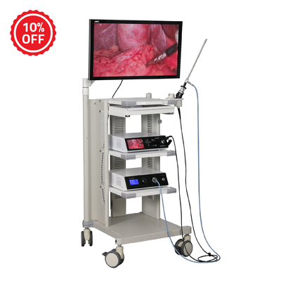 Sistema de cámara de endoscopio TUYOU Full HD para ENT, laparoscopia y urología