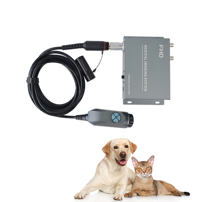 Caja convertidora de endoscopio Tuyou de 4 puertos 1080P para imágenes médicas portátiles ENT Laparoscopia para mascotas