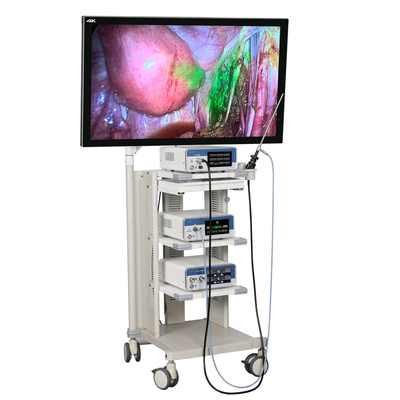TUYOU con grabación de vídeo por USB Sistema de cámara de endoscopio quirúrgico ICG 4K