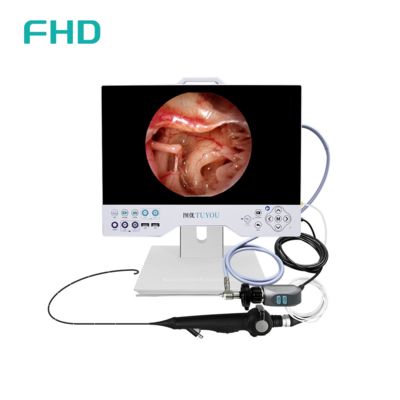 Sistema de cámara de endoscopia Full HD de 15' en uno con fuente de luz LED incorporada para aplicaciones quirúrgicas ENT y urológicas