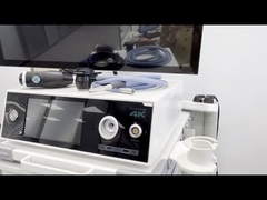 Se aplicará el procedimiento siguiente: