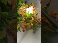 TU-D100A Cámara de endoscopio médico 4K con luz LED de 100W para ENT y ginecología