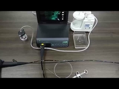 Fábrica TUYOU Gastroscopio Flexible Colonoscopio Endoscopio Sistema de cámara para el diagnóstico gastrointestinal de mascotas